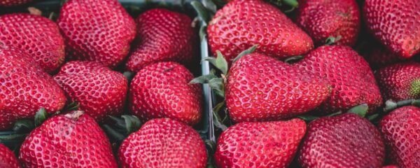 kapak-arac-fren-disk-degisimi