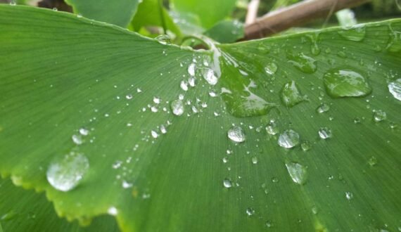 kapak-otopratik-hizmetleri